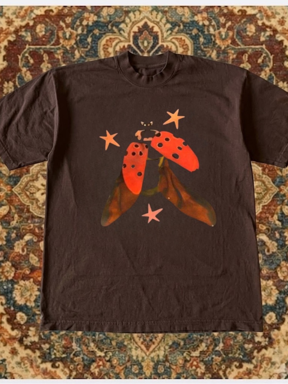 Gildan Black Tee with Red Ladybug Graphic